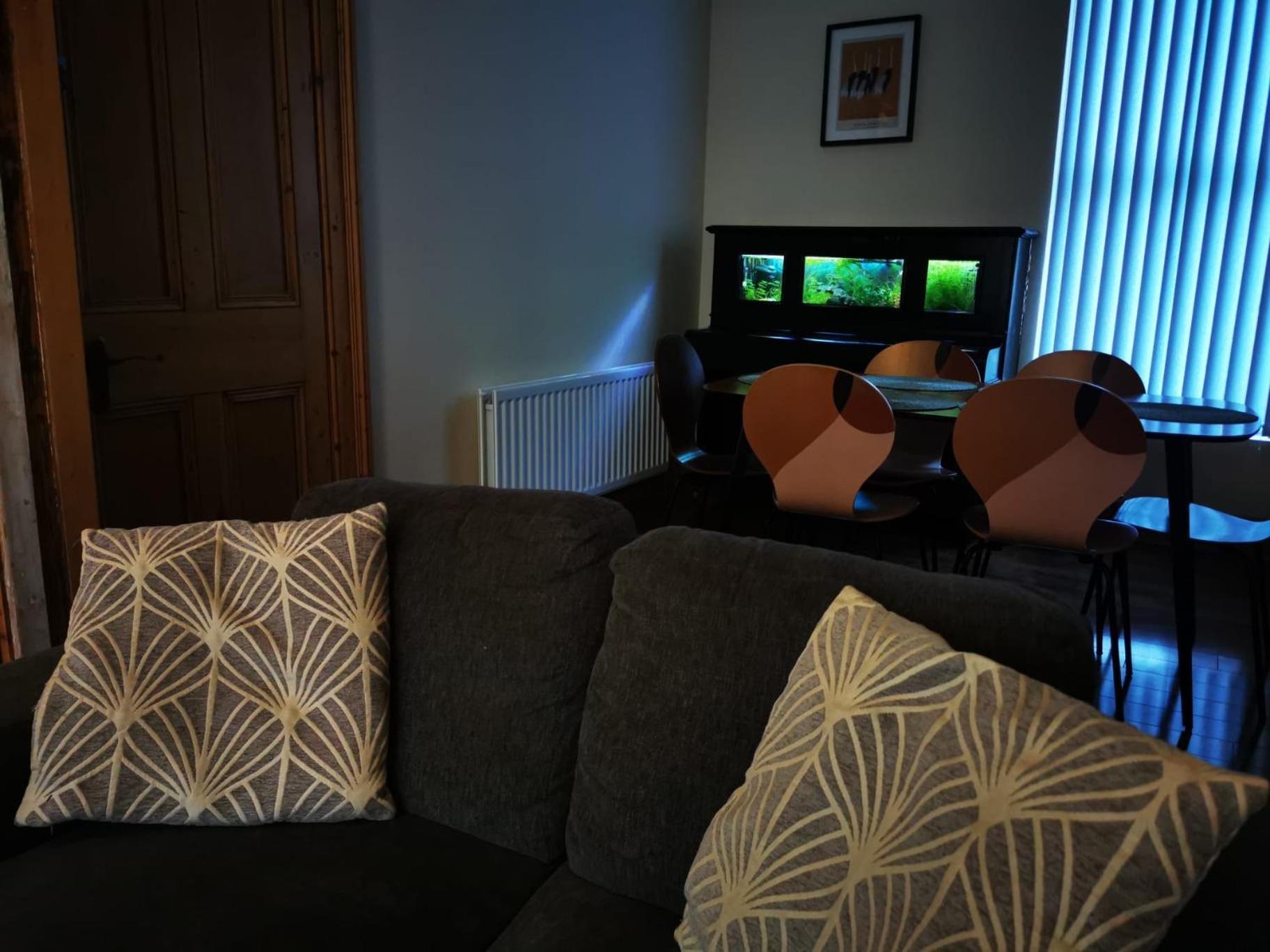 Gr8 Hostel At The Mount Belfast Exteriér fotografie